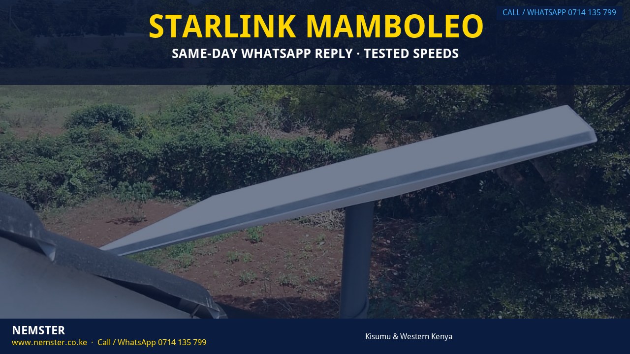 Starlink Mamboleo Starlink Mamboleo