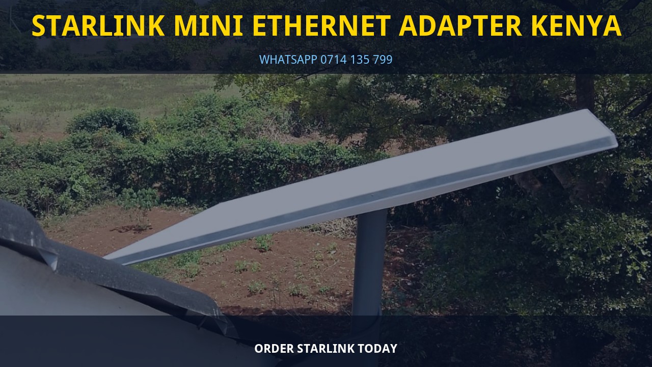Starlink Mini Ethernet Adapter Kenya Starlink Mini Ethernet Adapter Kenya
