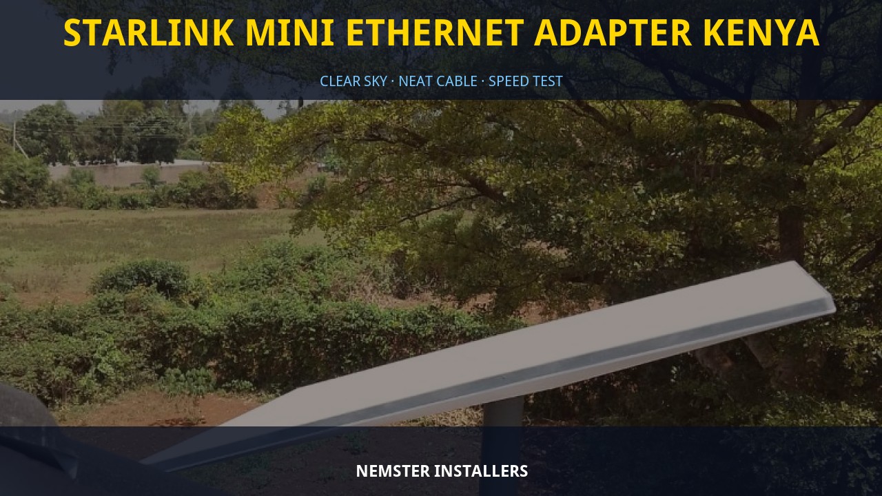 Starlink Mini Ethernet Adapter Kenya
